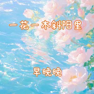 一花一木斜阳里