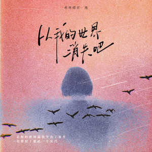 从我的世界消失吧封面