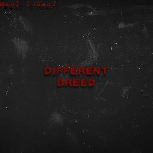 Different Breed (Explicit)