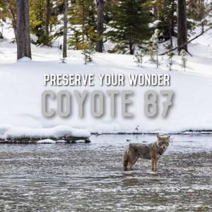 Preserve Your Wonder