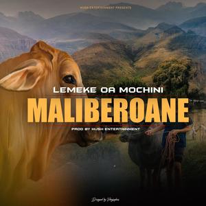 Maliberoane