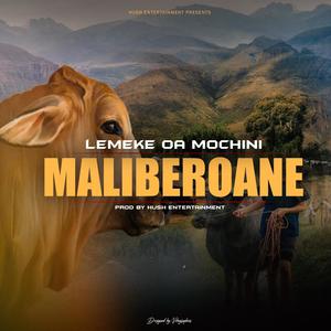 MALIBEROANE