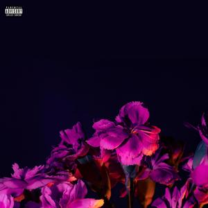 Last Night (Deluxe) [Explicit]