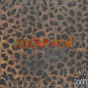 CHEETAH PRINT (feat. jajabank$) [Explicit]