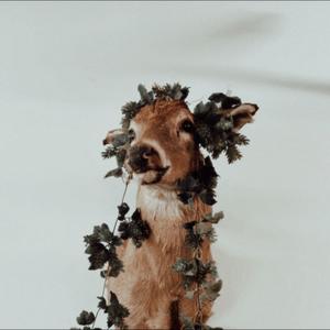 bitter when you're sweet (Interlude)