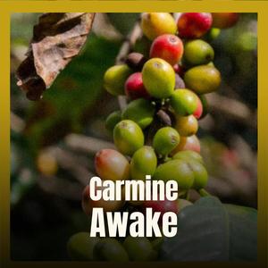 Carmine Awake