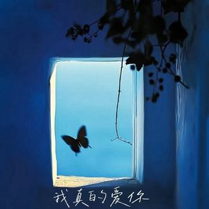 我真的爱你 (爱本质无异)