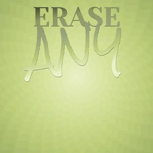 Erase Any