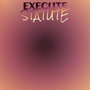 Execute Statute