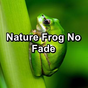 asmr frog sound - frog sounds/musica relajante/nature sounds