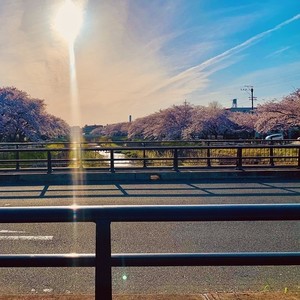 風に化ける