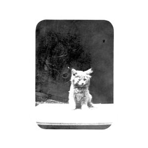 you need to get out (Explicit)