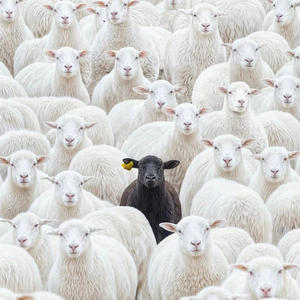 Strangers (feat. 3lix) (Explicit)