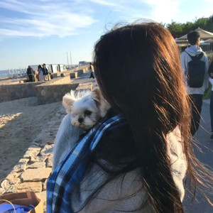 说谎(我又不脆弱)