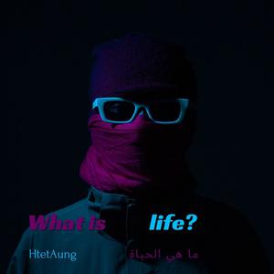 What is life? (Explicit)