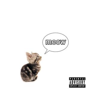 no puedo mirar (feat. eidam) (Explicit)