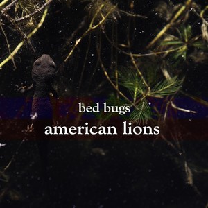 Bed Bugs (Explicit)