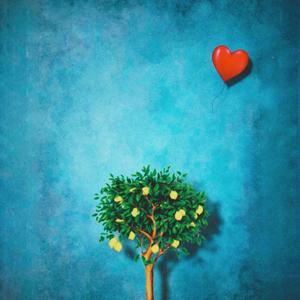 Lemon Tree (Explicit)