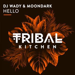 Hello (Remix)