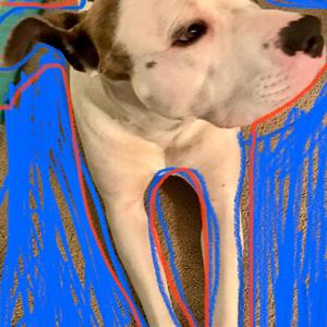 Racism da Pits(Dis One 4 da Pitbulls) (Explicit)