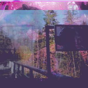 Tabs On Mowgli(feat. Timmy Tokyo & Kizo Drain) (Explicit)