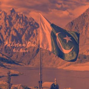 Pakistan One