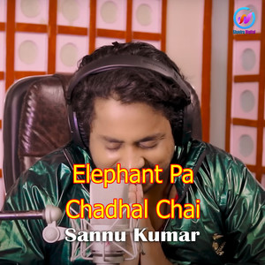 Elephant Pa Chadhal Chai