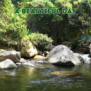 A Beautiful Day