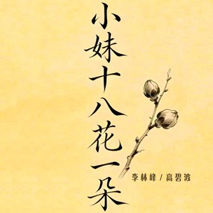小妹十八花一朵 (DJ版)
