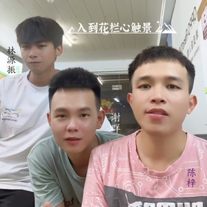 入到花栏心触景 (儋州调声DJ版)