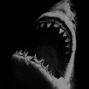 Megalodon (Explicit)