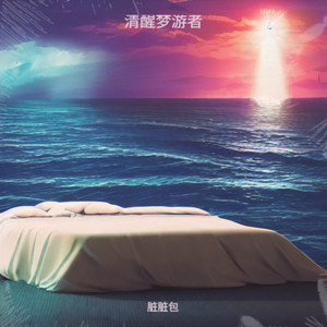 逆向航行封面