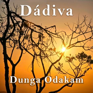 Solidário Solitário