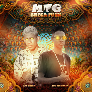 Mtg Brega Funk (Explicit)