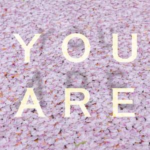you are
