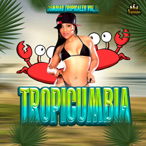 Cumbias Tropicales Vol. 12