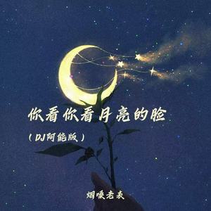 你看你看月亮的脸-烟嗓老表