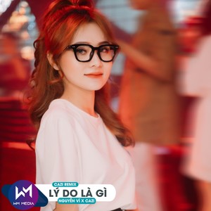 Lý Do Là Gì (Remix)