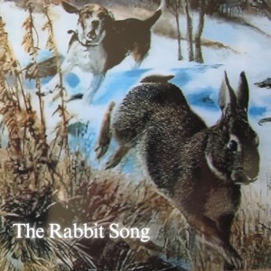 The Rabbit Song