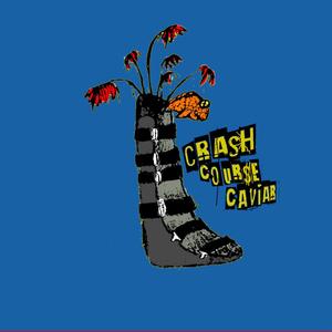 Crash Course Caviar