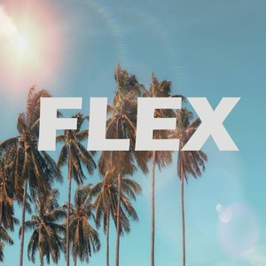 FLEX