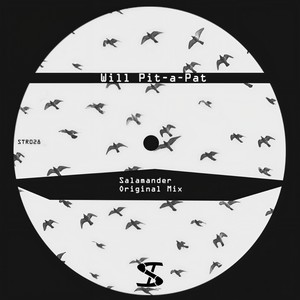 Salamander (Original Mix)