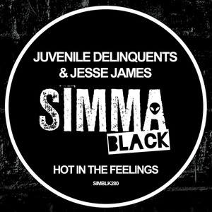 Hot In The Feelings (Original Mix)