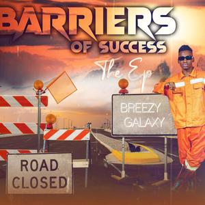 Barriers of Success