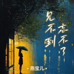 见不到忘不了（DJ默涵版）