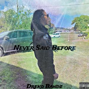 Never Said Before (Explicit)