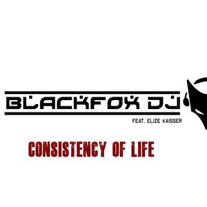 Consistency Of Life (feat. Elize Kaisser) [Explicit]