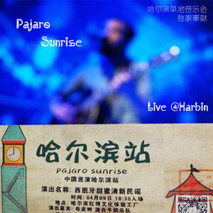 Pajaro Sunrise西班牙甜蜜清新民谣