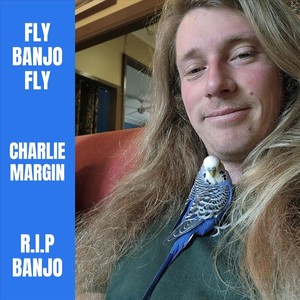 Fly Banjo Fly..