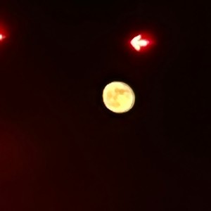 Bad Company (Explicit)